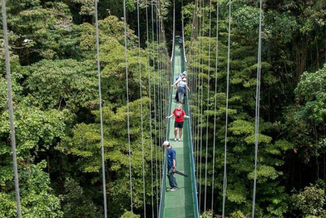 Private Hanging Bridges+Lunch+Waterfall