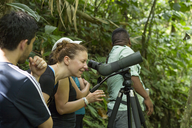 Shared Bird Watching